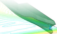 Wave induced motions and loads
